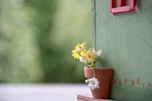 garden landscaping